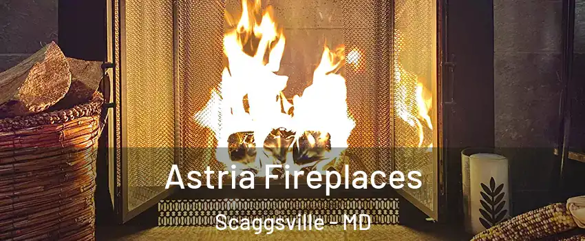  Astria Fireplaces Scaggsville - MD