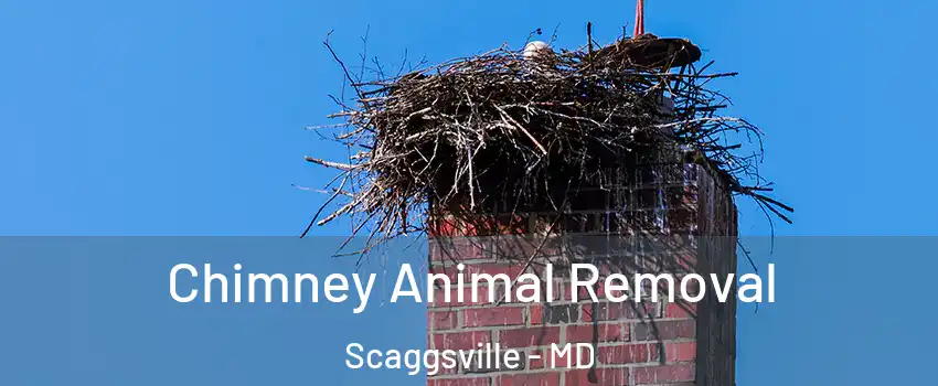 Chimney Animal Removal Scaggsville - MD
