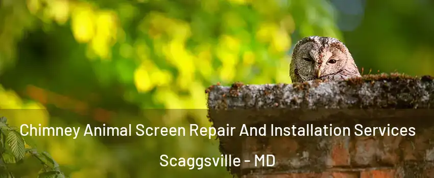  Chimney Animal Screen Repair And Installation Services Scaggsville - MD