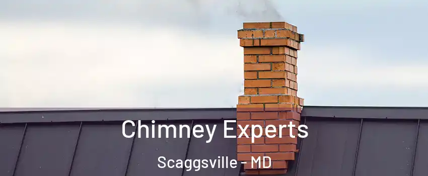  Chimney Experts Scaggsville - MD
