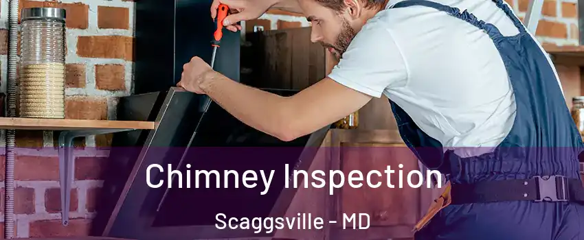  Chimney Inspection Scaggsville - MD