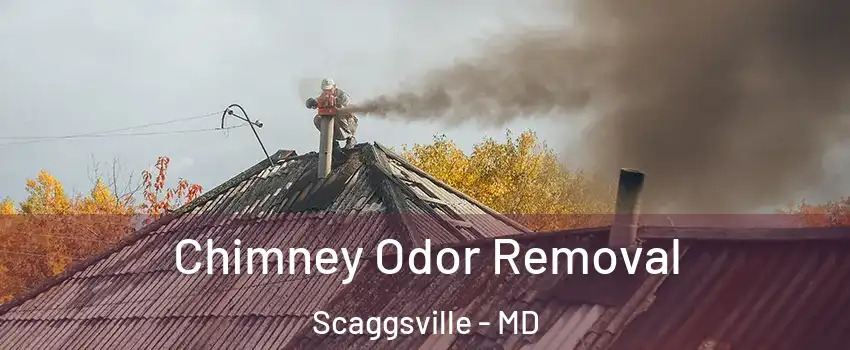  Chimney Odor Removal Scaggsville - MD
