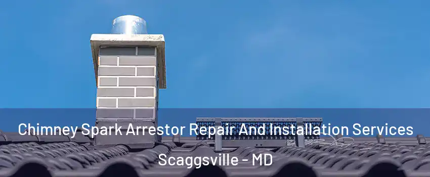  Chimney Spark Arrestor Repair And Installation Services Scaggsville - MD