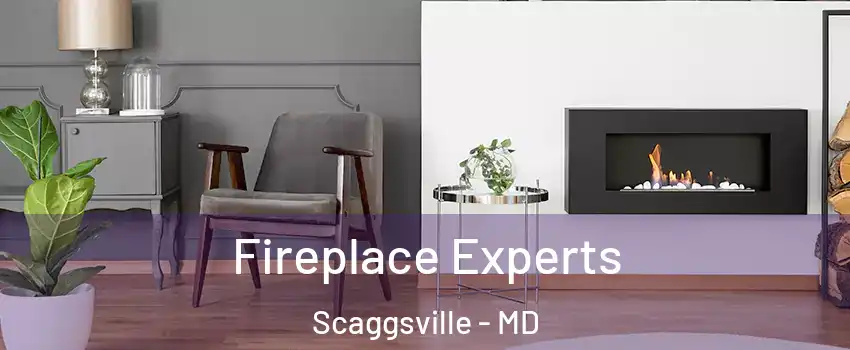  Fireplace Experts Scaggsville - MD