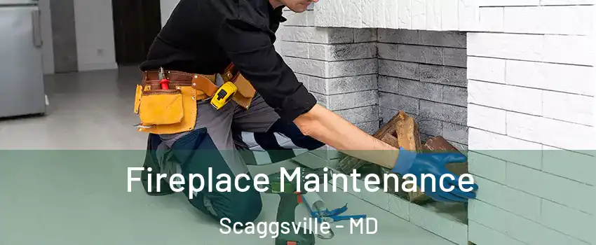  Fireplace Maintenance Scaggsville - MD