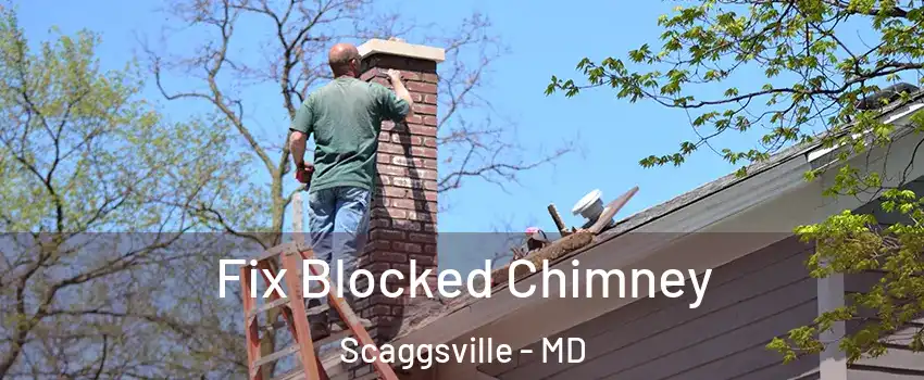  Fix Blocked Chimney Scaggsville - MD