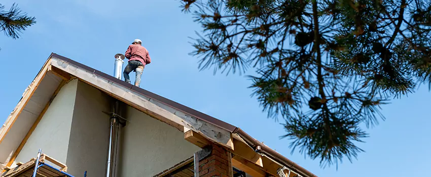 Birds Removal Contractors from Chimney in Scaggsville, MD