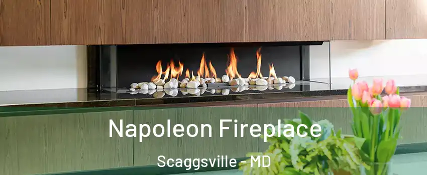  Napoleon Fireplace Scaggsville - MD