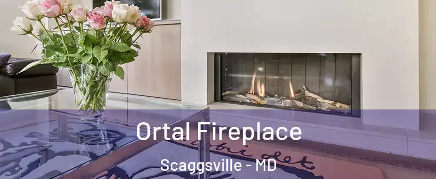  Ortal Fireplace Scaggsville - MD