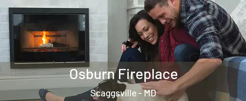  Osburn Fireplace Scaggsville - MD